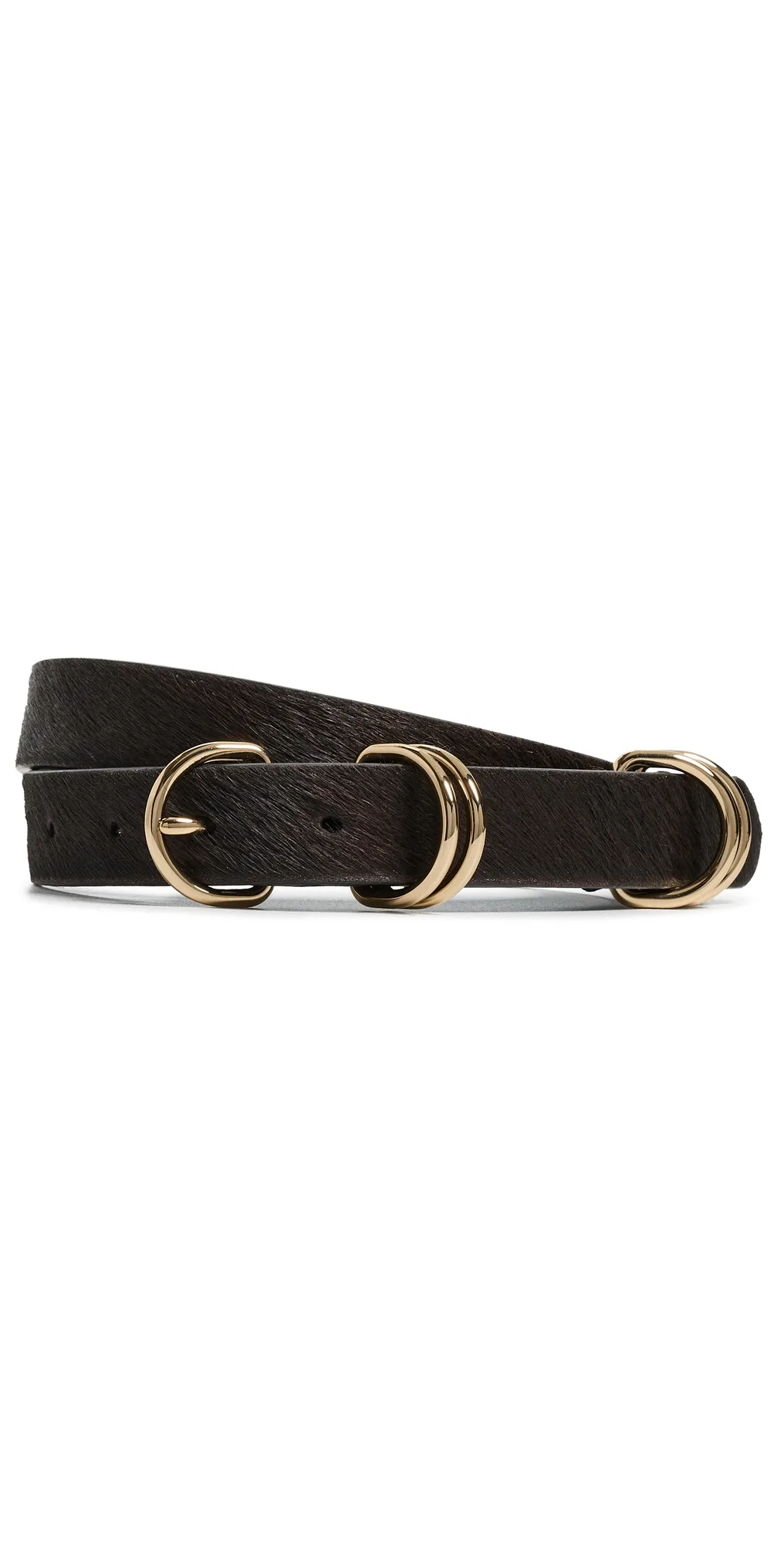 Jodi Belt