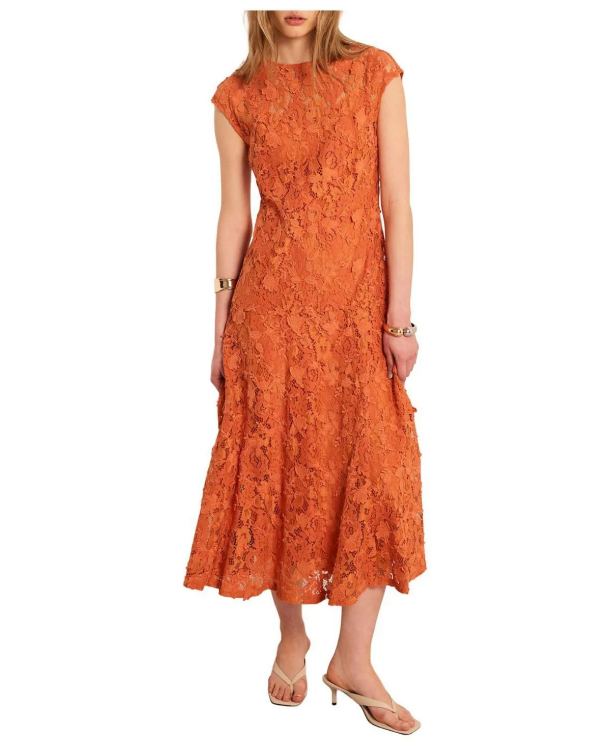 Sleeveless Applique Lace Midi Dress by Mint Velvet