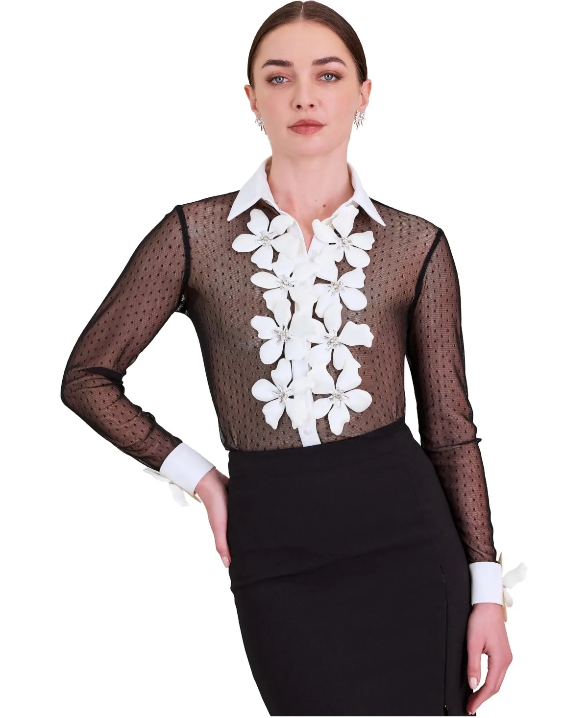Terra Sheer Long-Sleeve Floral-Applique Blouse