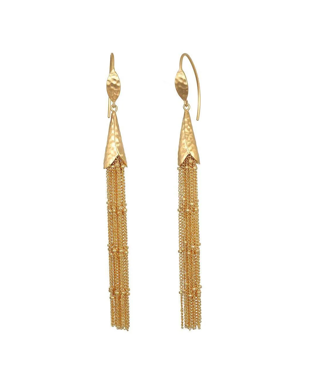 Paths in Motion Tassel Drop Earrings