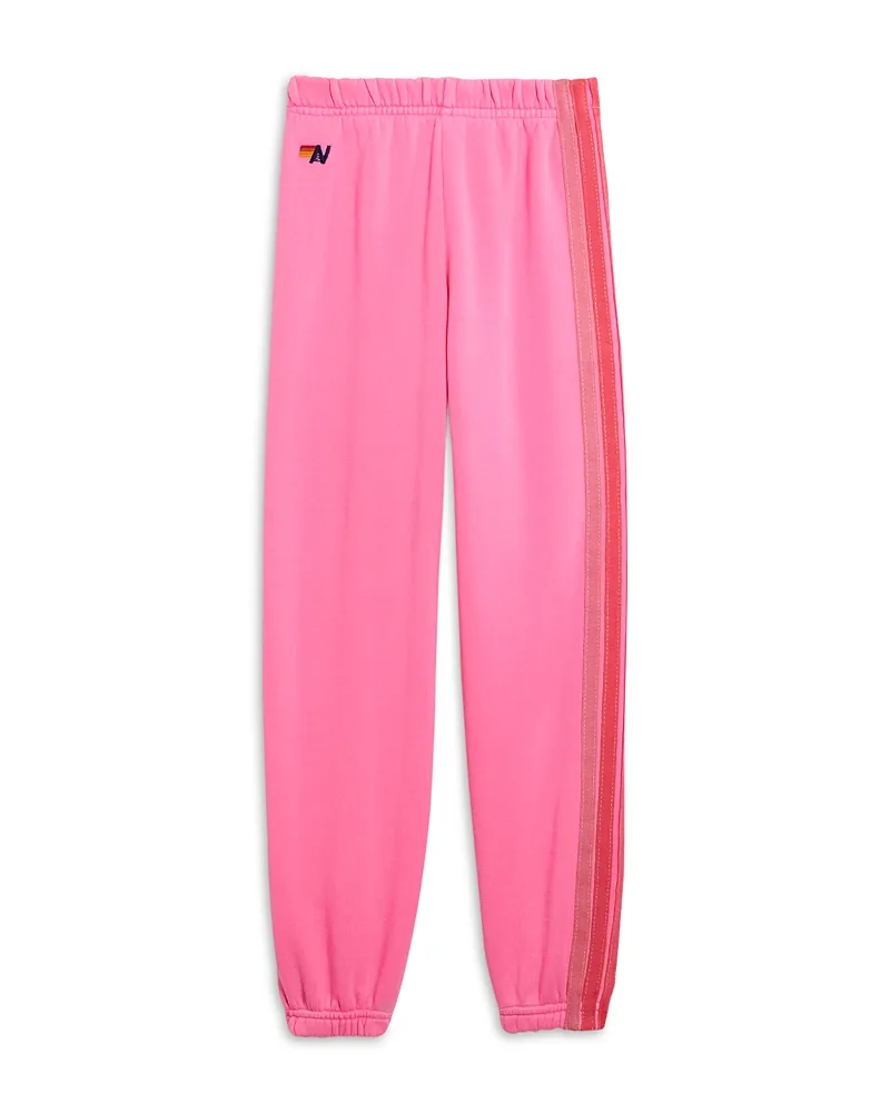 5 Stripe Sweatpants by Aviator Nation