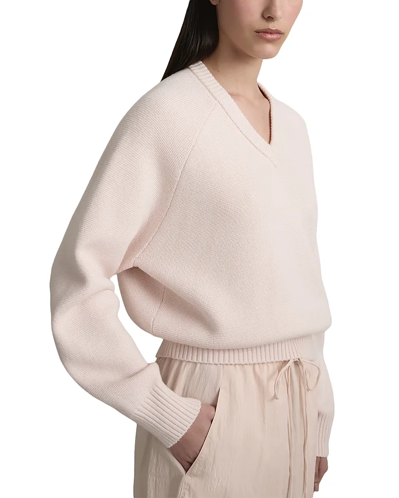 The Diot Cotton & Wool V Neck Sweater by A.emery