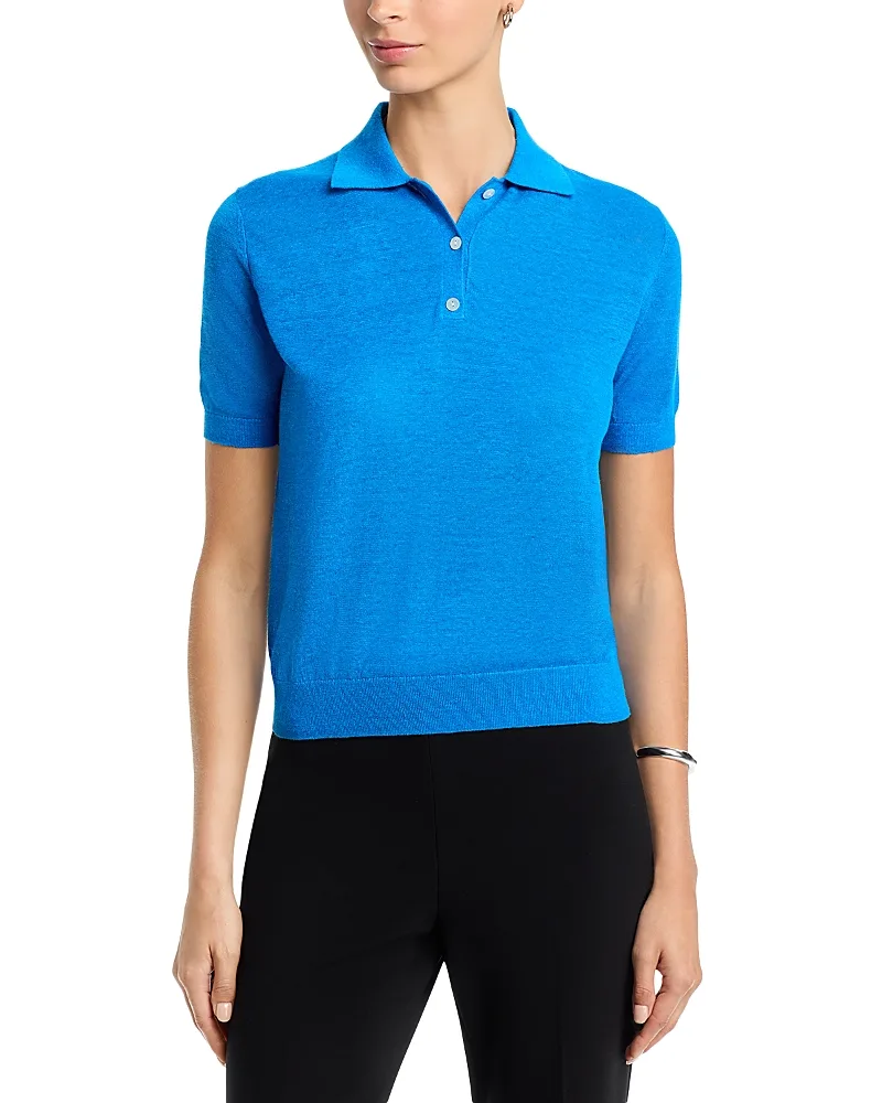 Semi Sheer Polo Top by Theory