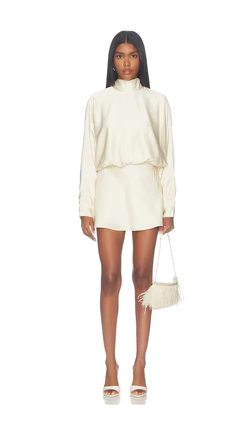 Dalora Mini Dress