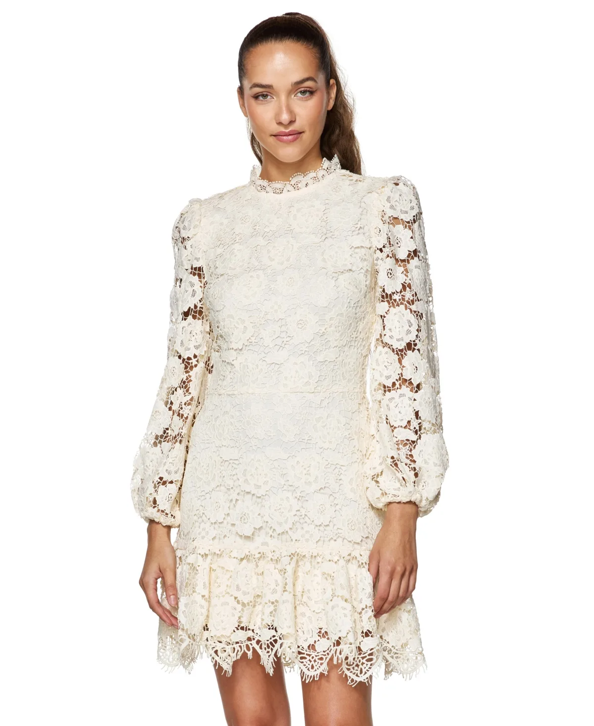 Long-Sleeve Mock-Neck Chemical Lace Dress by Alex & Sophia