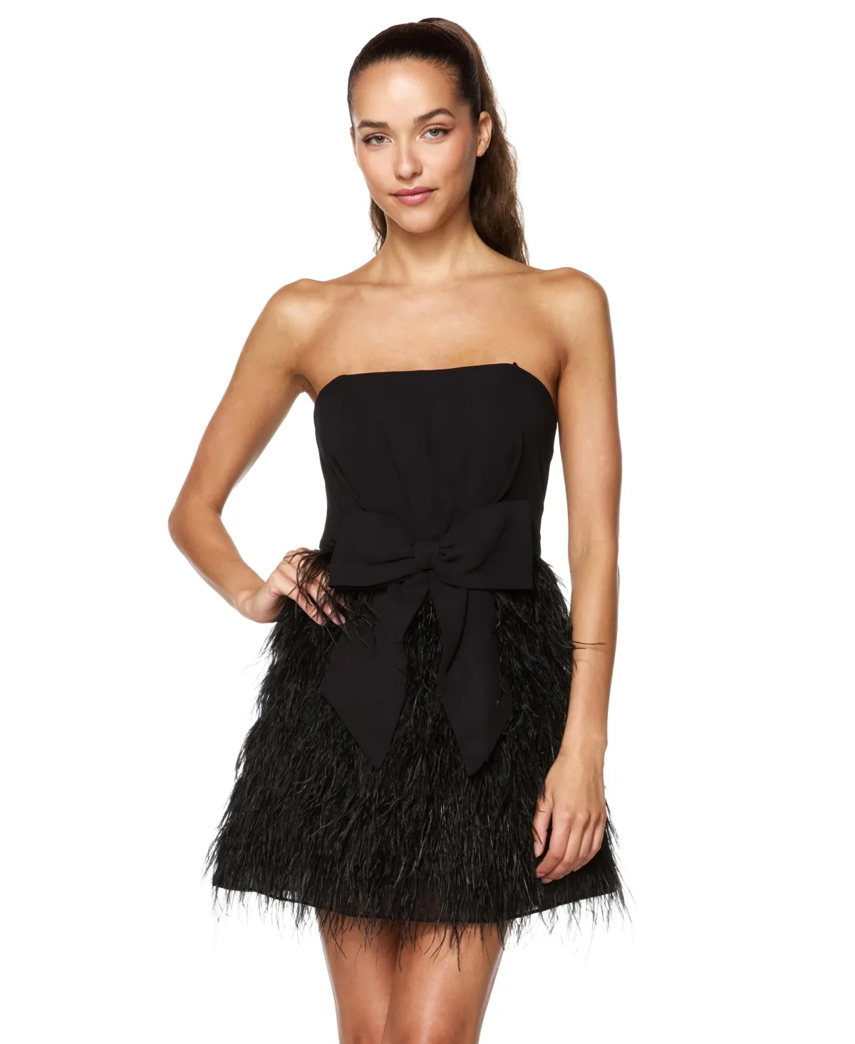 Strapless Feather-Trimmed Fit & Flare Dress by Alex & Sophia