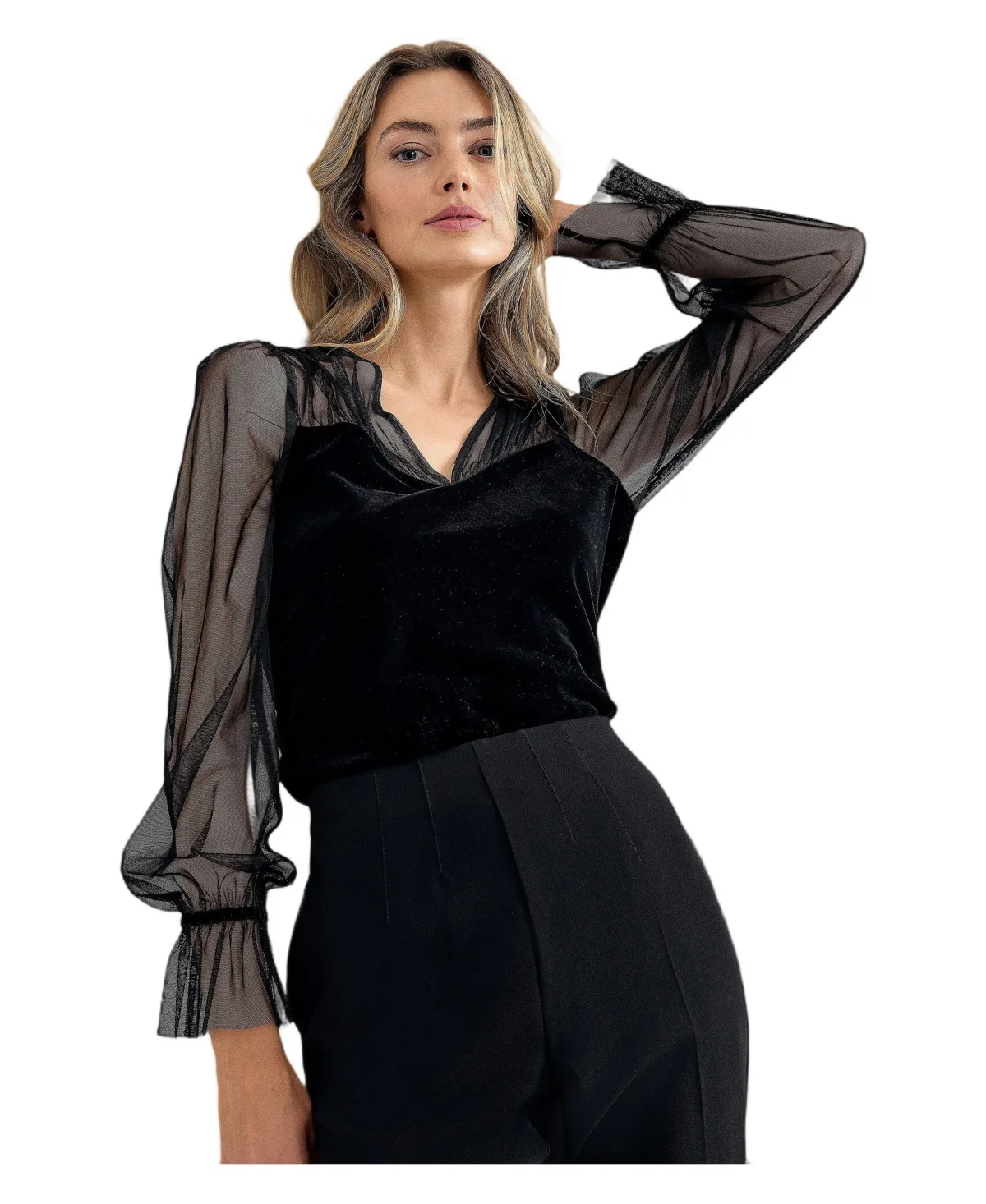 Cindy Velvet Sheer Top by Phase Eight