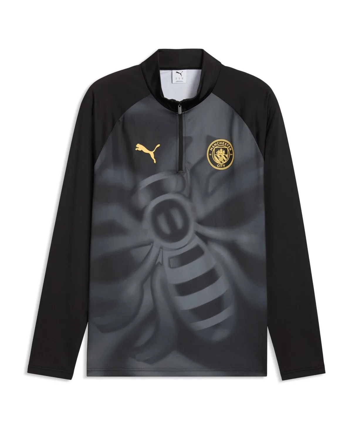Manchester City Quarter-Zip dryCELL Pre-Match Sweatshirt by PUMA