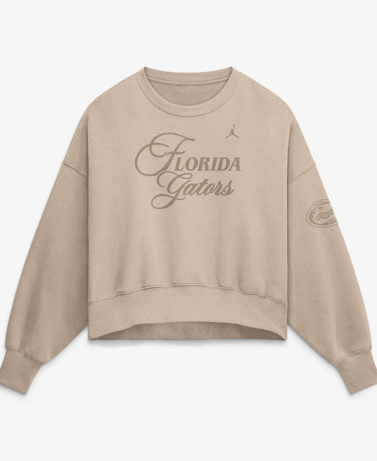 Florida Gators Neutral Stance Collection Oversized Phoenix Fleece Sweatshirt by Nike