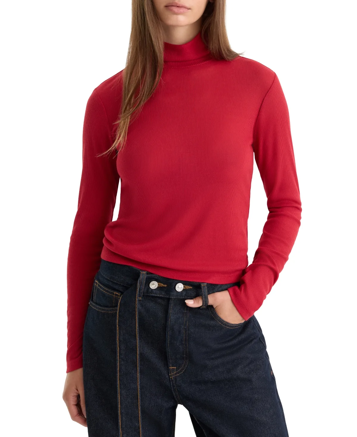 Sheer Ribbed Turtleneck