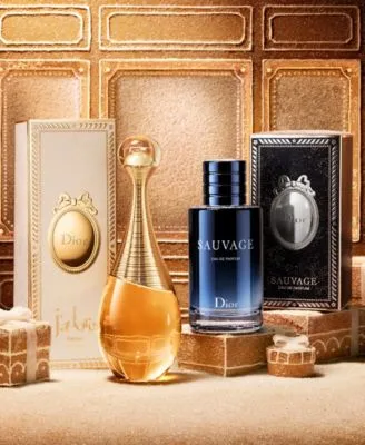 Holiday Gift Cases by Dior