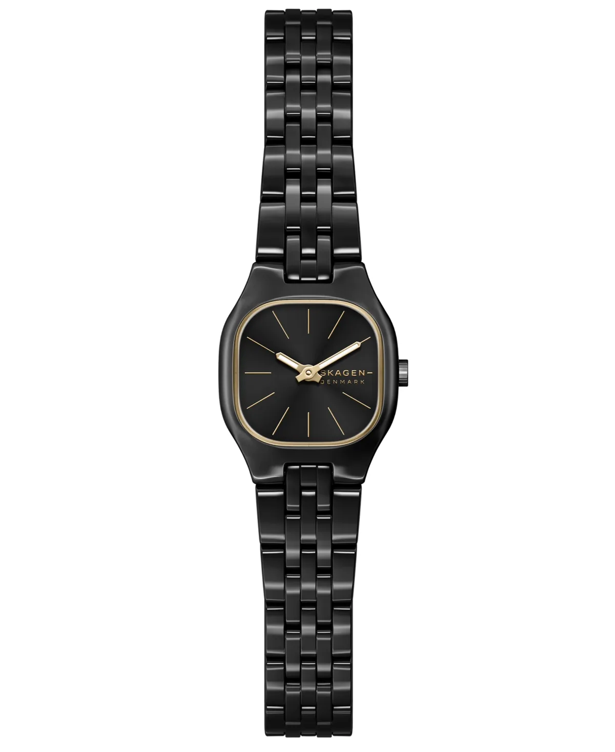 Quartz Mellem Micro Black Stainless Steel Bracelet Watch 20mm by Skagen