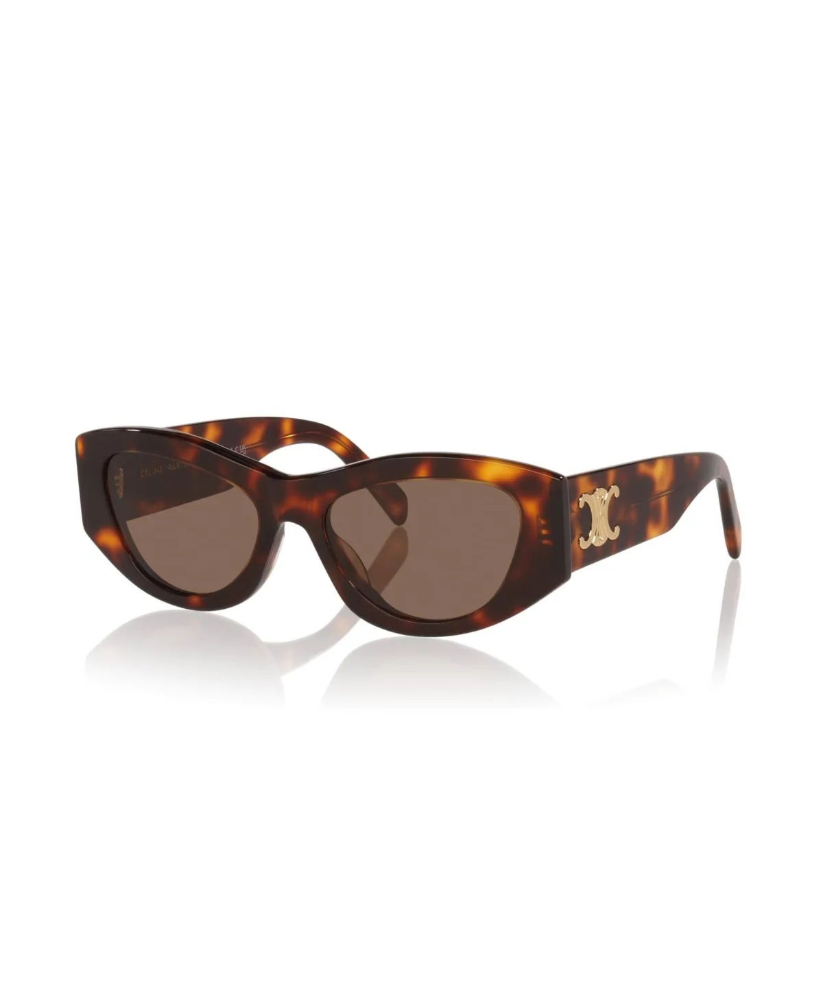 Triomphe Sunglasses CL40308U