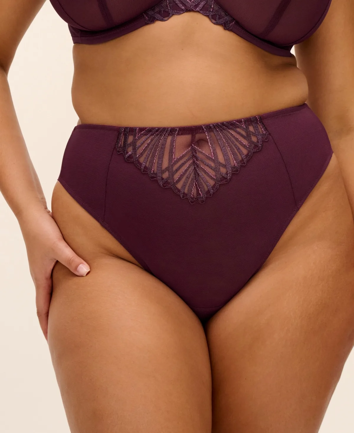 Reja Cheeky Embroidered Panty by Elomi