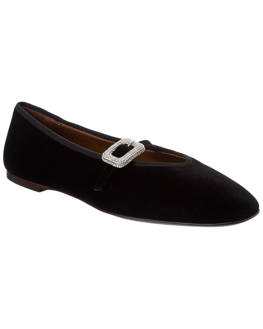 Amanda Velvet Mary Jane Flat by Giuseppe Zanotti
