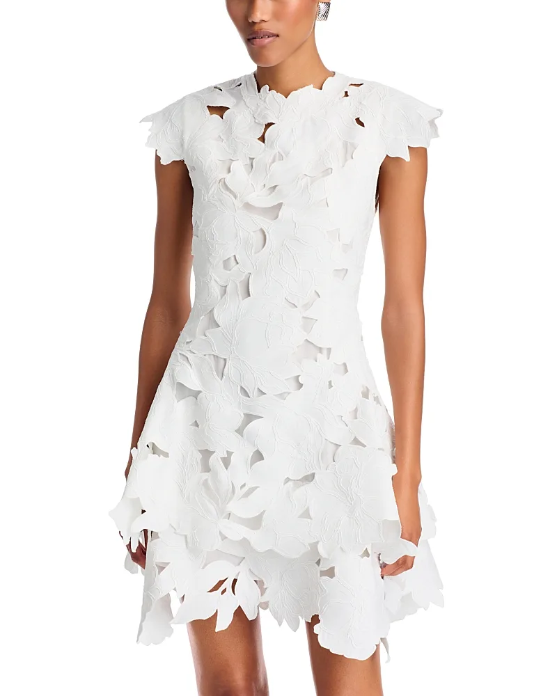 Holloway Guipure Lace Fit-and-Flare Mini Dress