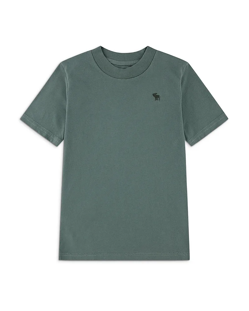 Essential Tee by Abercrombie Kids