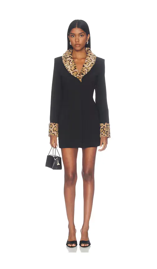 Franceska Mini Dress by Superdown