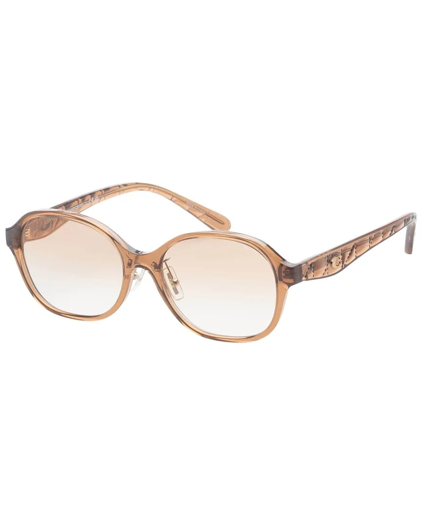 Hc8445d 56Mm Sunglasses