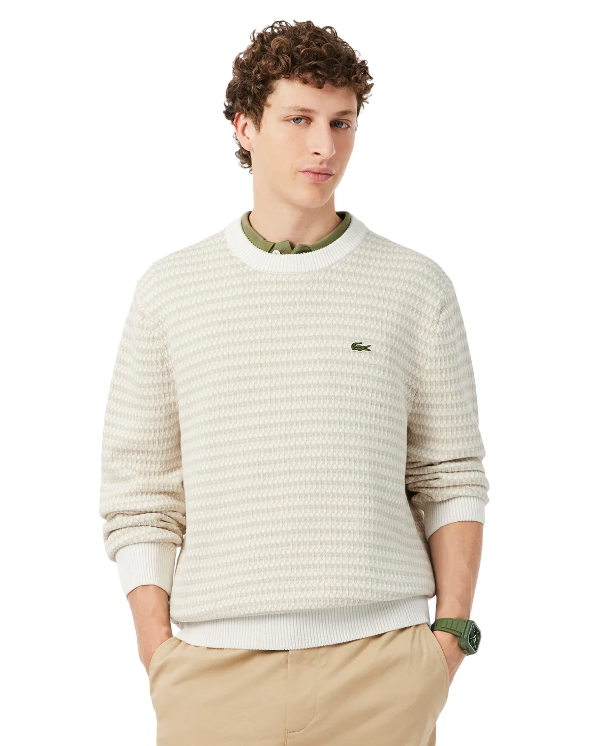 Striped Crewneck Pullover Sweater