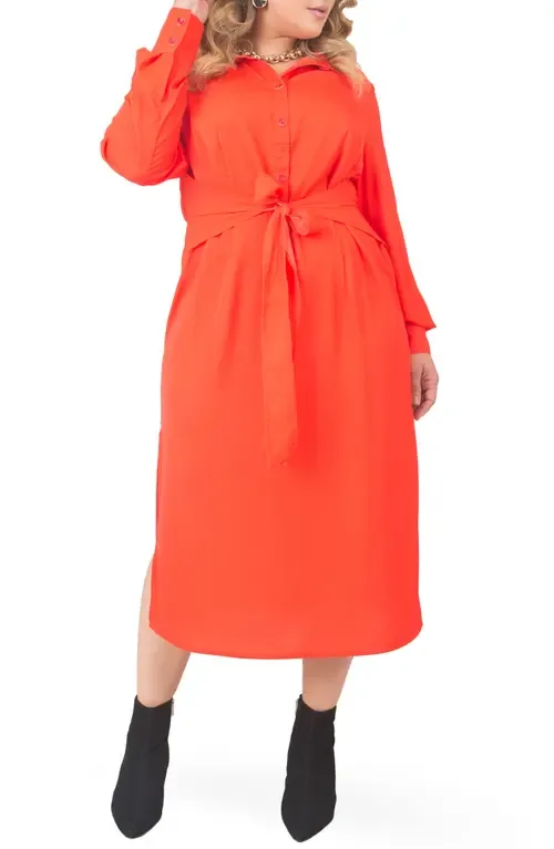 Tie Waist Long Sleeve Midi Dress by Standards & Practices