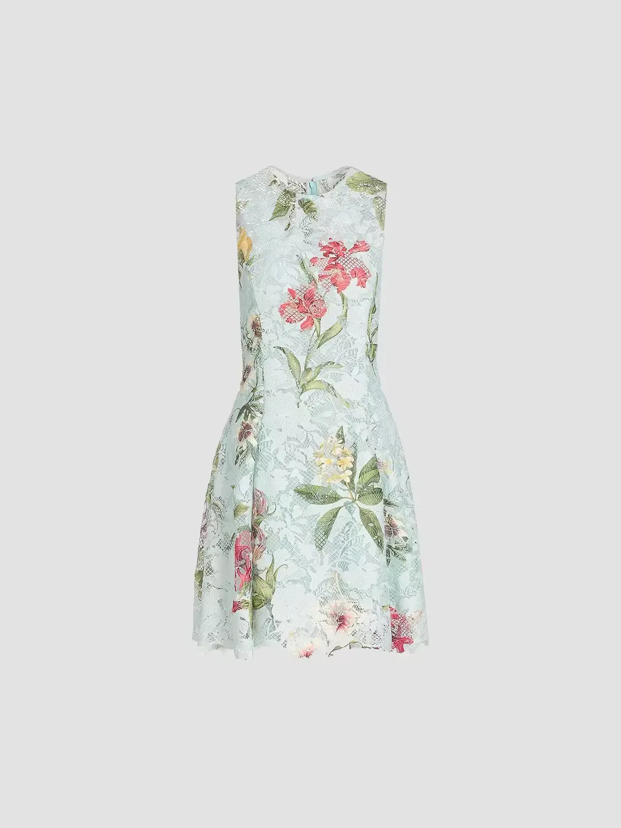 Floral Print Lace Minidress