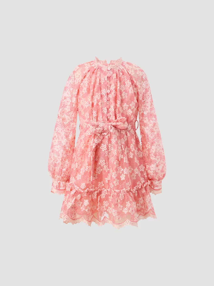 Golden Hour Julia Embroidered Mini Dress by Marlo