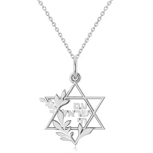 Star of David Am Yisrael Chai Pendant 14K by ALLUREZ