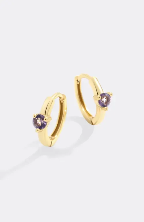 Solitaire Birthstone Huggie Hoop Earrings by Mint & Lily