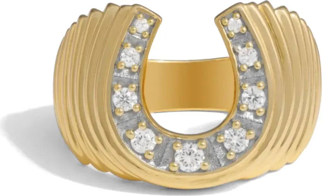 Lucky Horseshoe Signet Ring in 14K Gold Vermeil by Awe Inspired