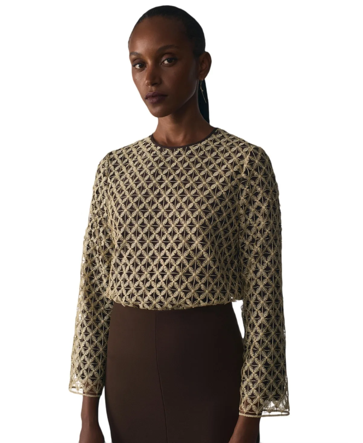Meridian Sheer Long-Sleeve Lace Blouse by The Fold