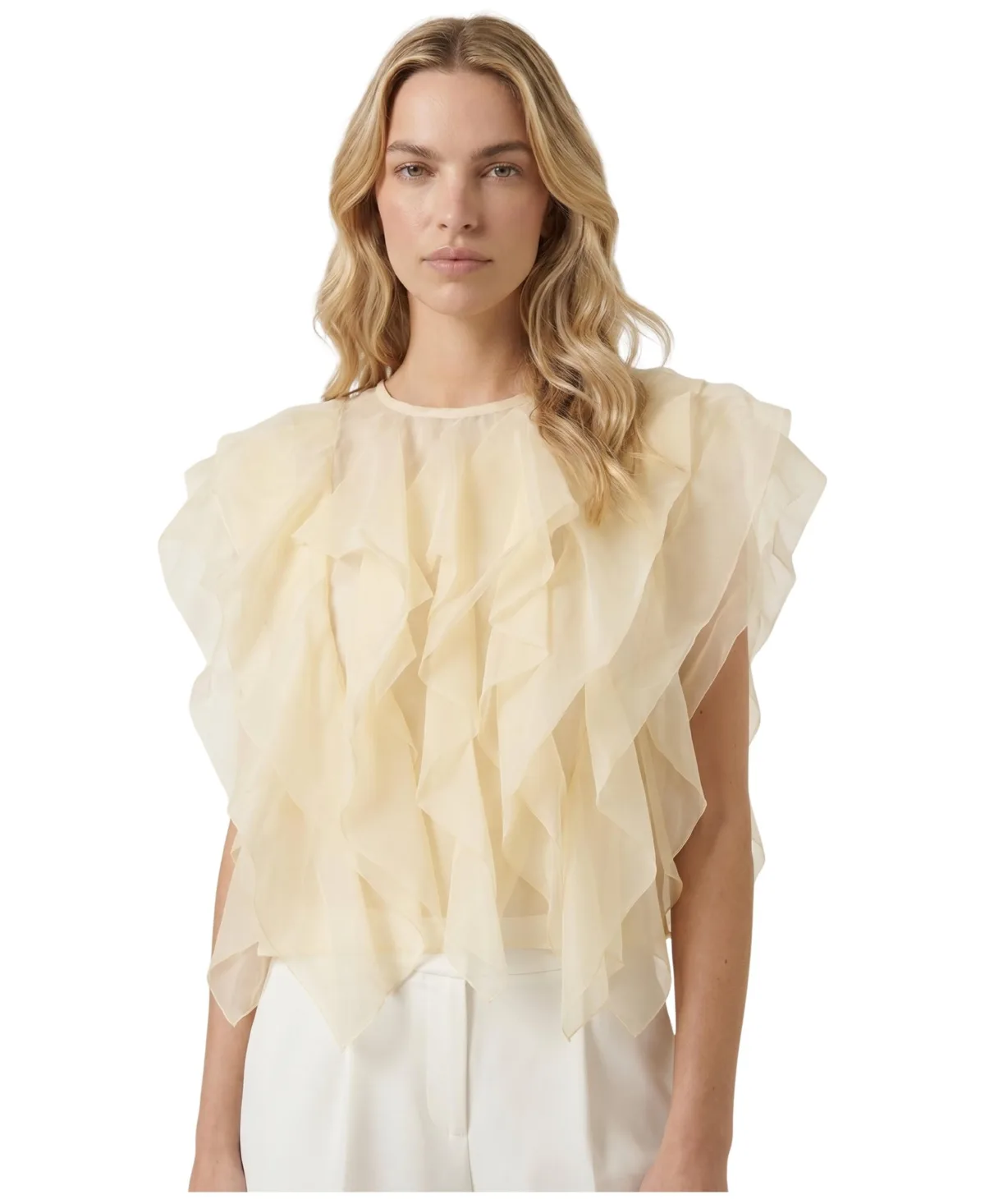 Sleeveless Sheer Ruffled Tulle Blouse