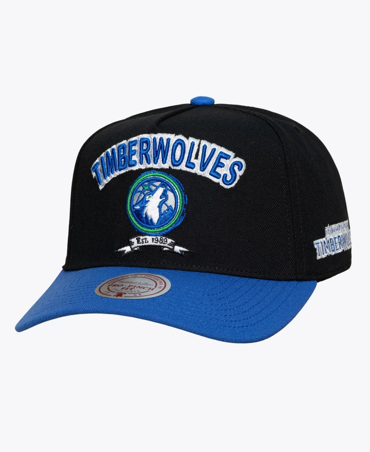 Minnesota Timberwolves True Legacy Pro Snapback Hat