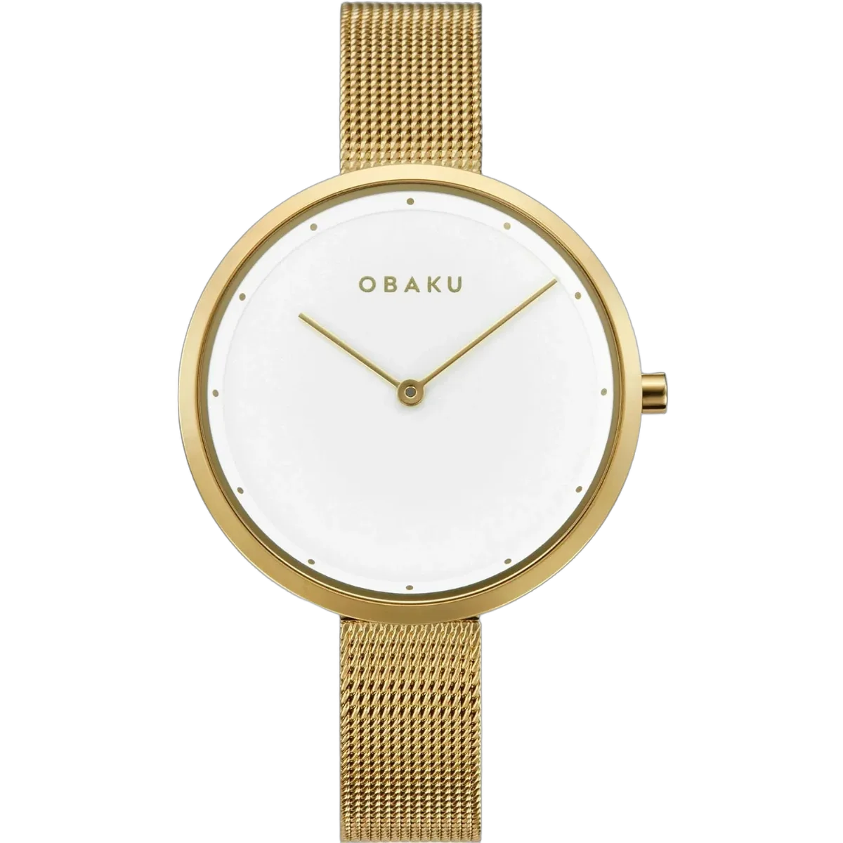 Mesh Watch