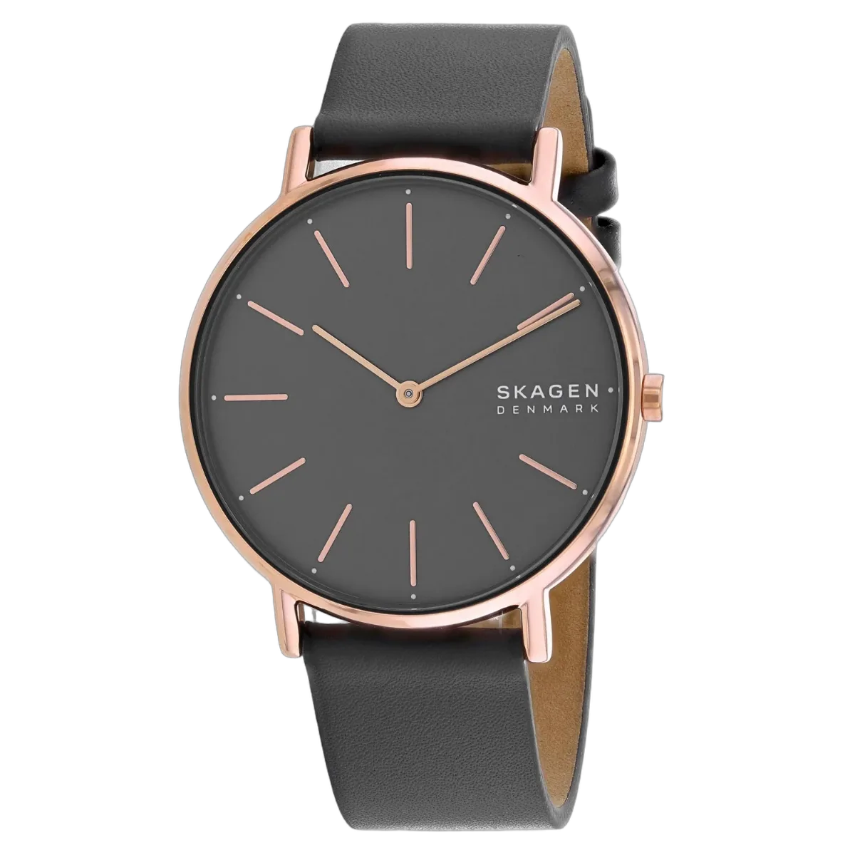 Watch by skagen
