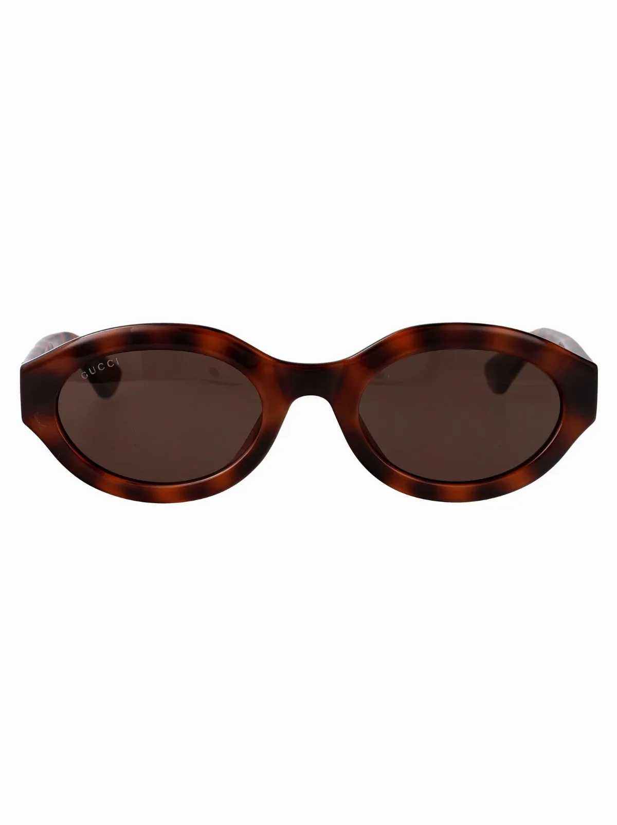 GG1579S Injected Havana Sunglasses by Gucci