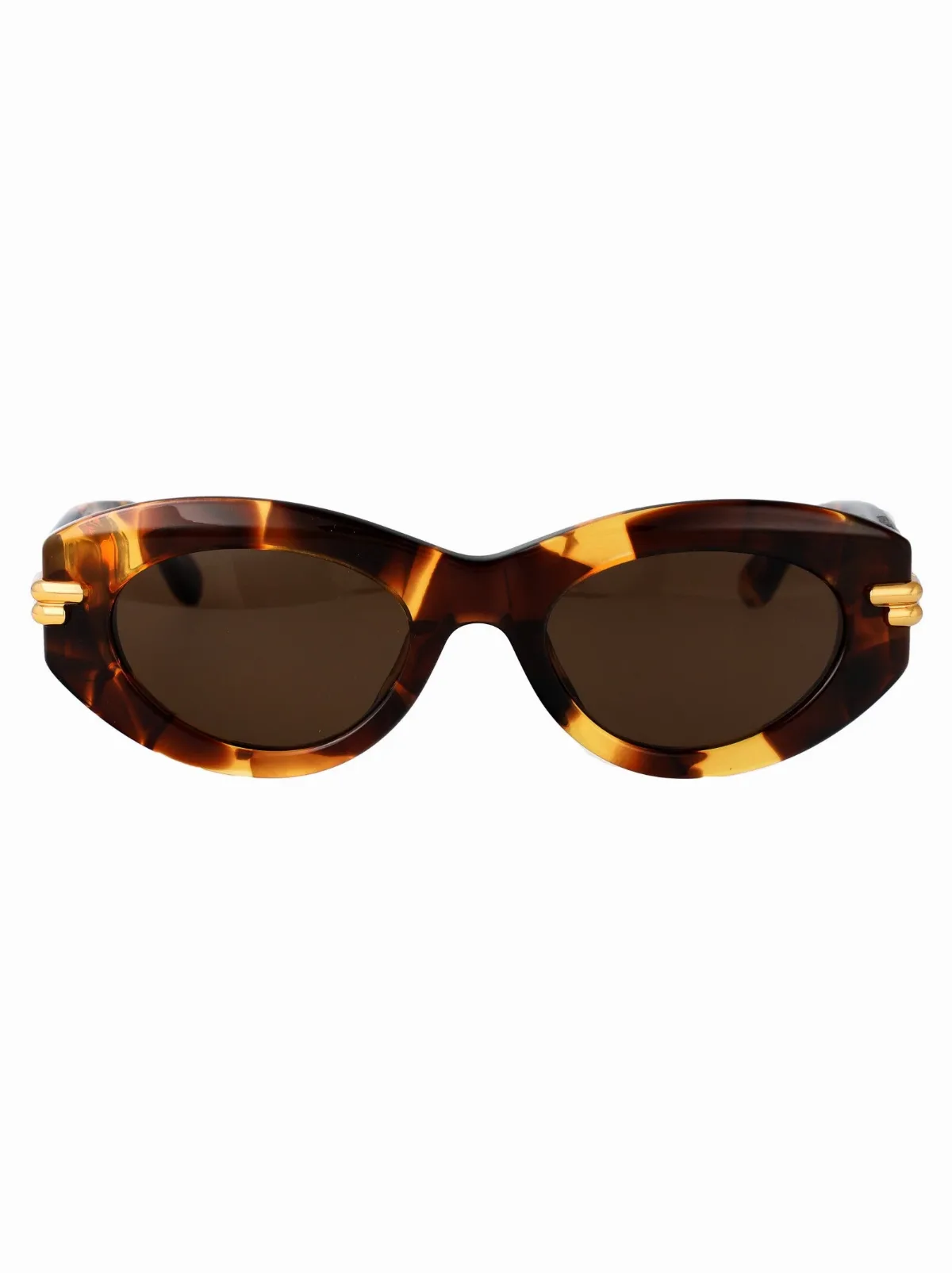 BV1322S Havana Acetate Sunglasses by Bottega Veneta