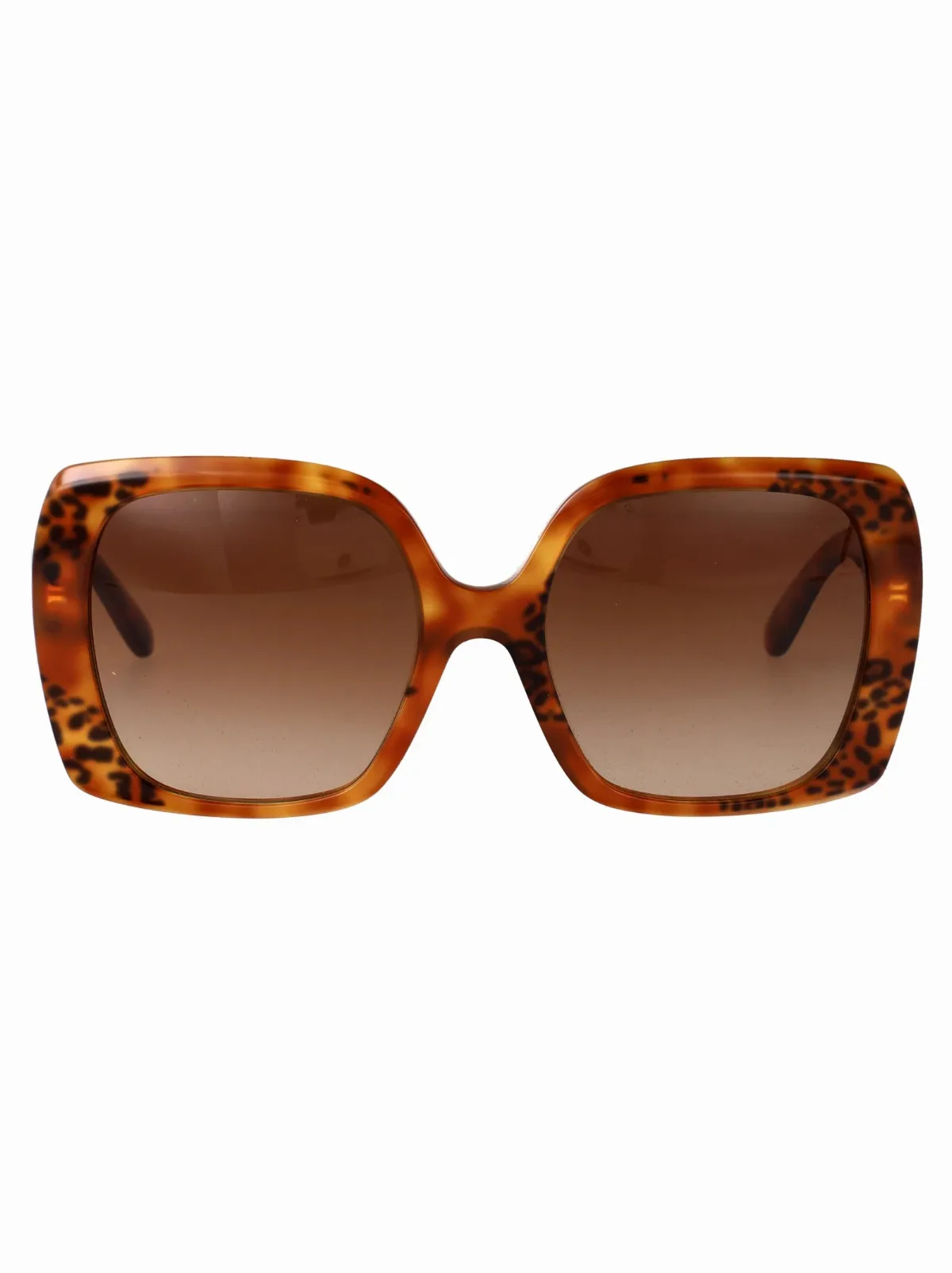 Leopard Acetate Square Sunglasses by Dolce & Gabbana