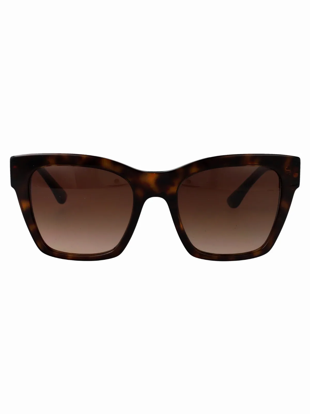 0DG4384 Havana Acetate Sunglasses by Dolce & Gabbana