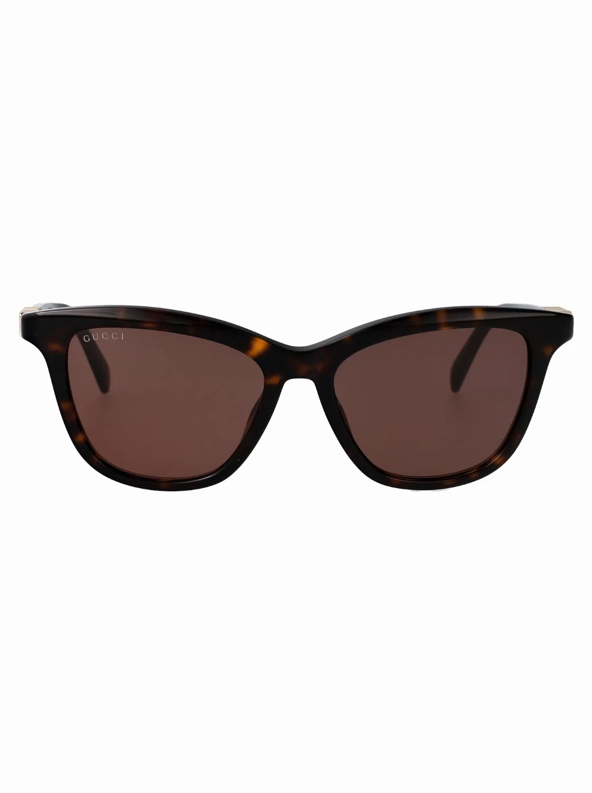 GG2032S Havana Acetate Sunglasses by Gucci