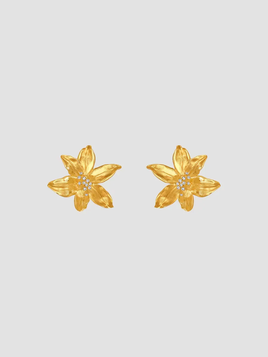 24K Gold-Plated & Glass Crystal Clip-On Earrings