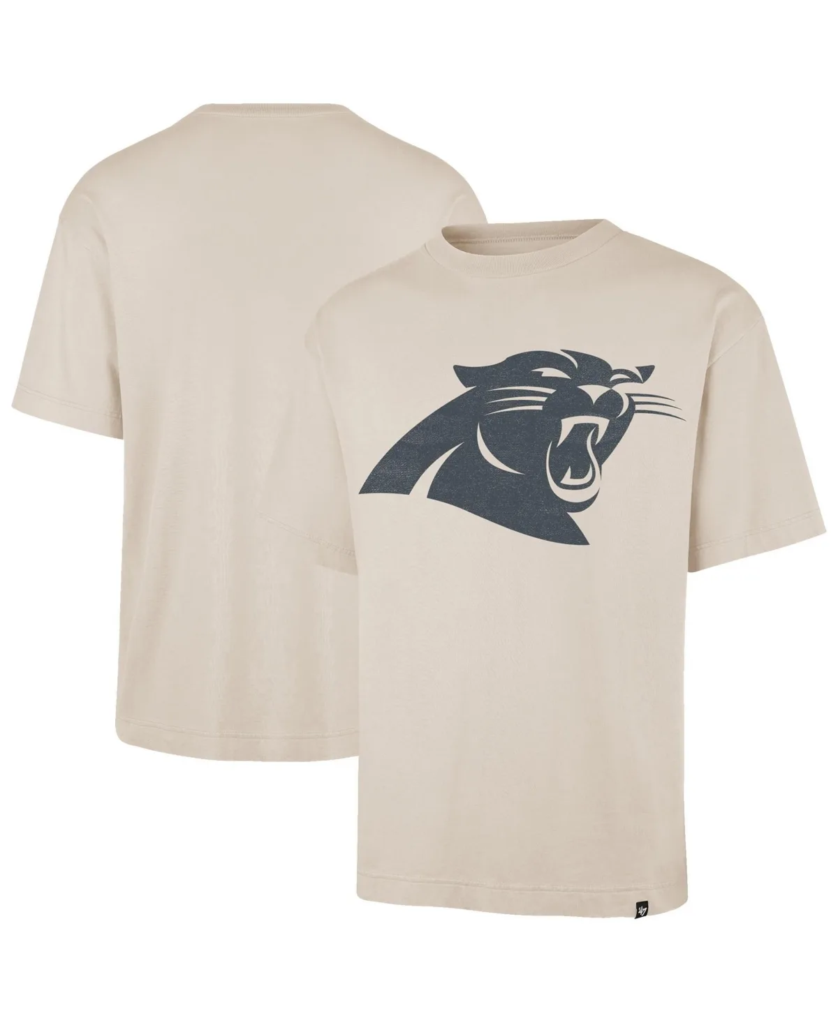 Carolina Panthers Bouldering Imprint Ravine Foundation T-Shirt by 47 Brand