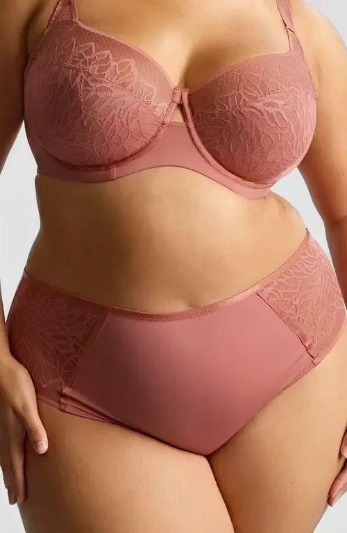 Sophia Lace Cheeky Briefs by Panache