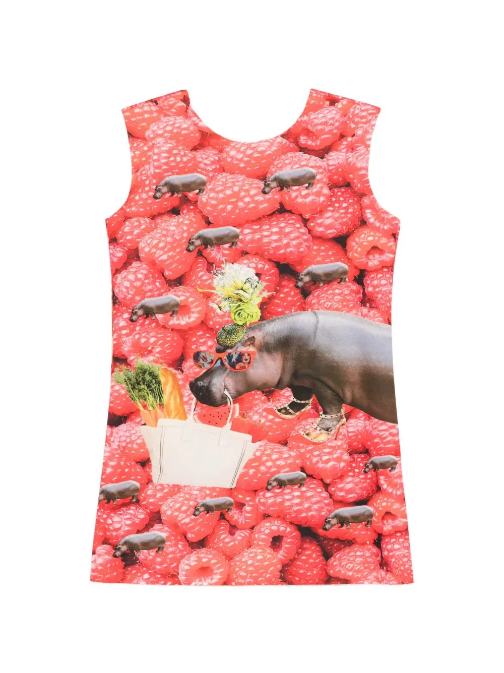 Raspberry-Print Sleeveless Mini Dress by The Artistylist