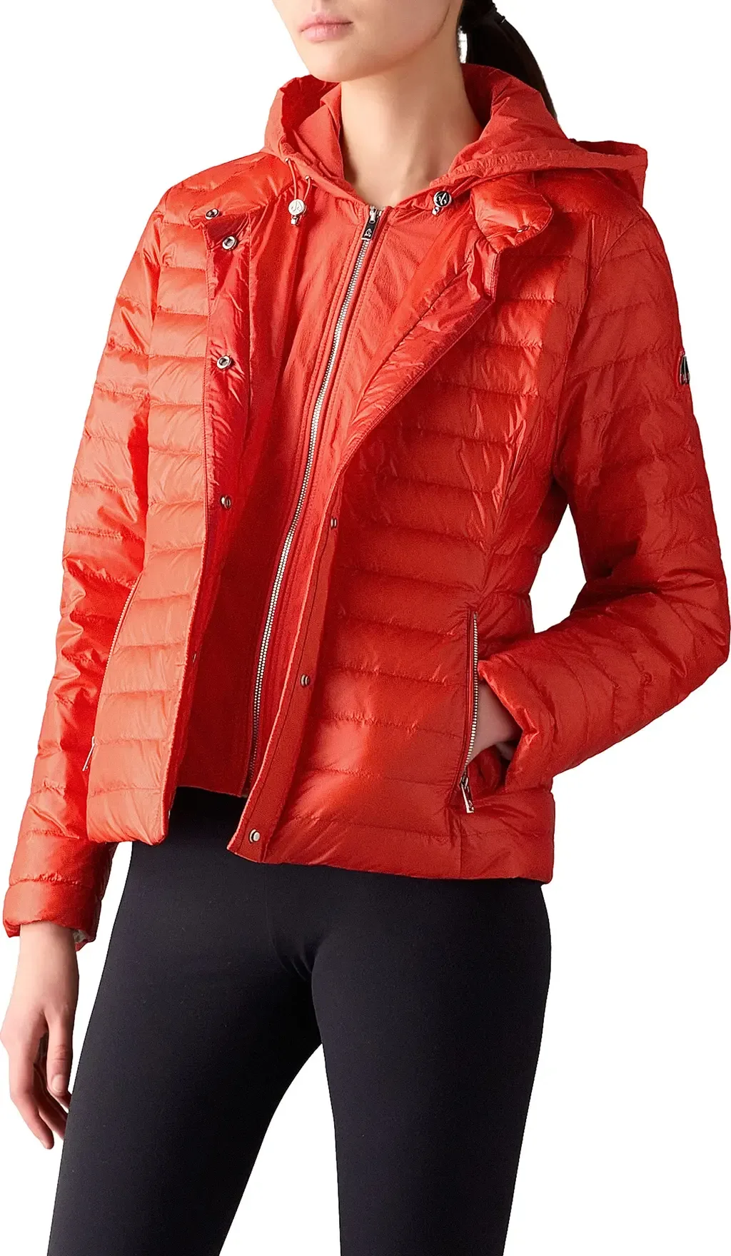 Cloud Walker 800 Fill Power Down Jacket by Moose Knuckles
