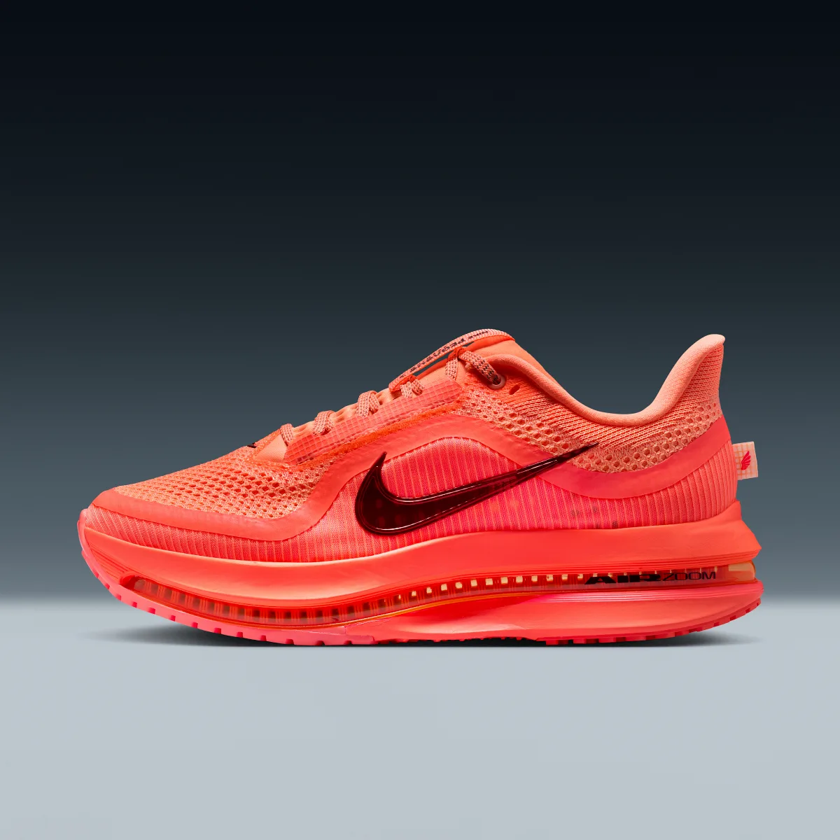 Pegasus Premium Road Running Shoes by Nike
