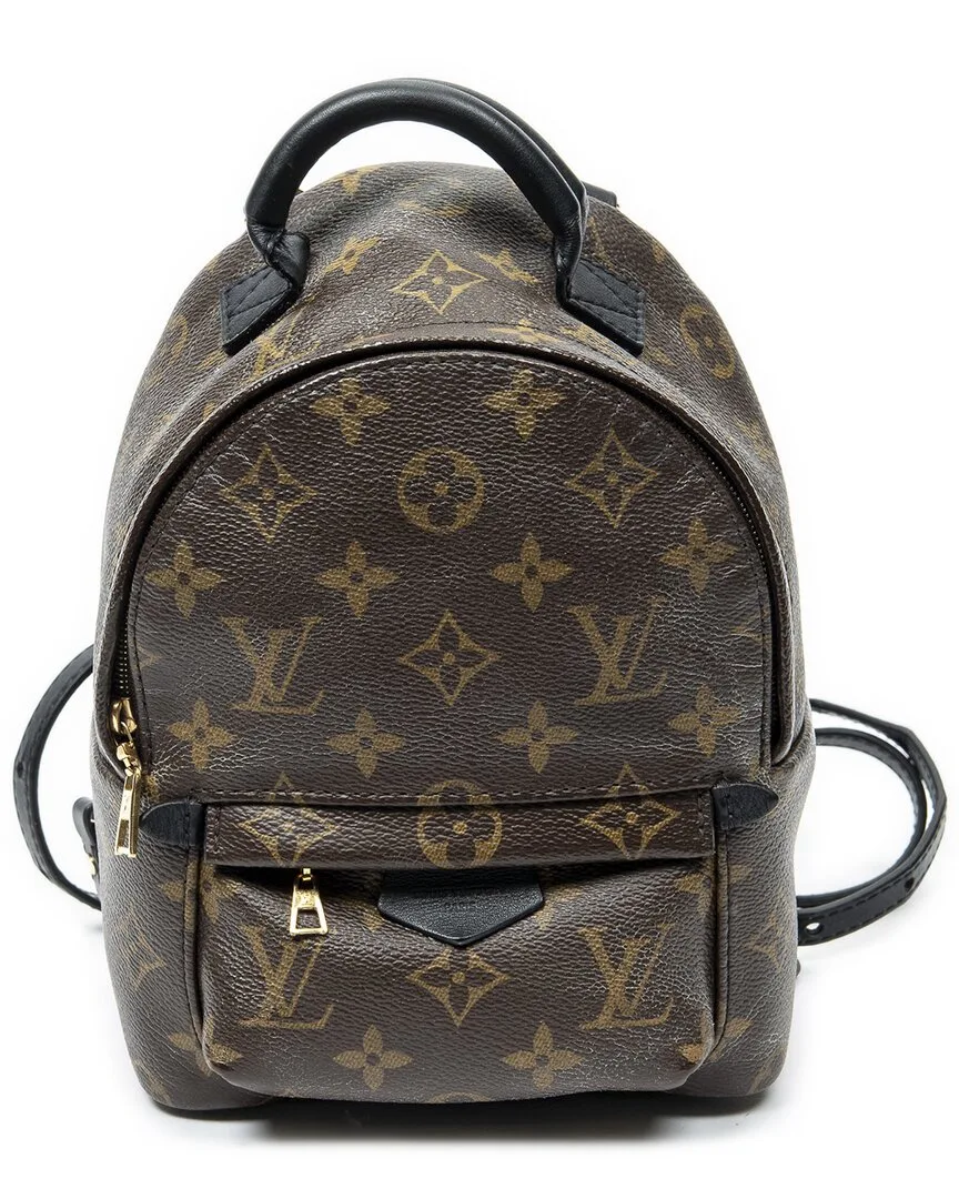 Brown Monogram Canvas Palm Springs by Louis Vuitton