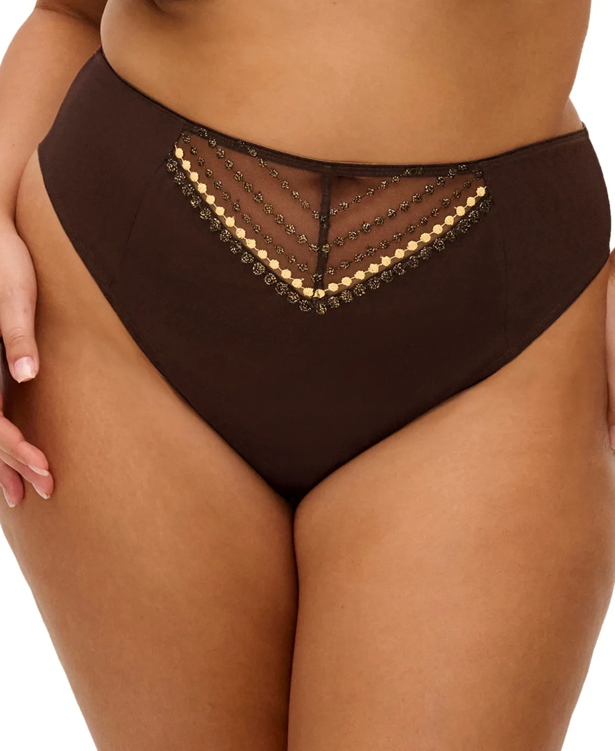 Matilda High-Waisted Embroidered Mesh Panty by Elomi