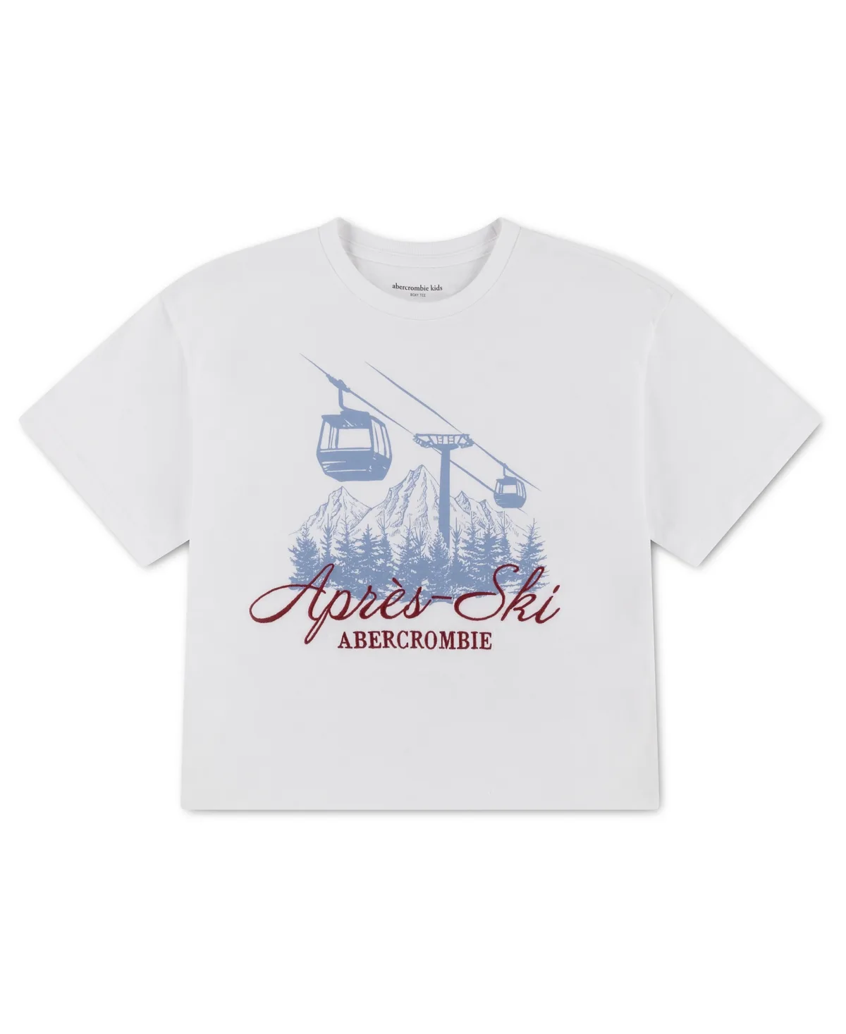 Apres Ski Boxy Graphic T-Shirt by Abercrombie Kids