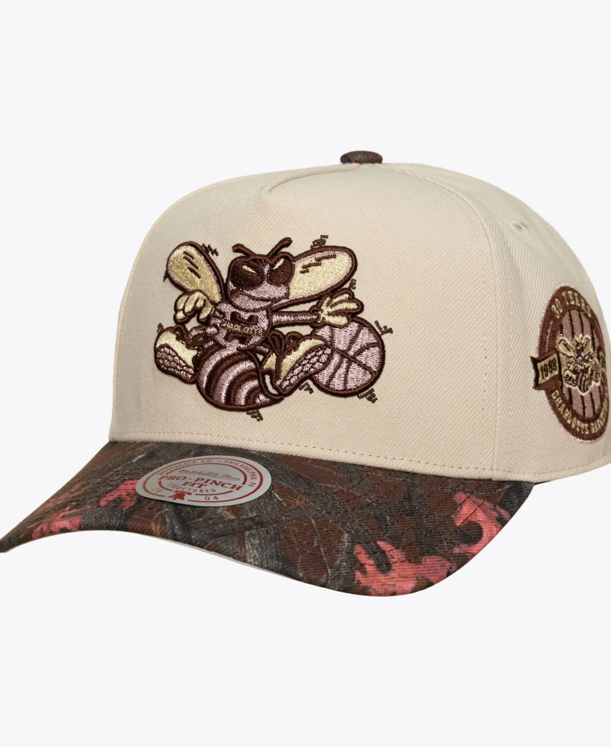 Charlotte Hornets Hardwood Classics Fall Pink Pro Snapback Hat by Mitchell & Ness